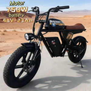 20-inch ebike, mountain all-terrain tire off-road, 750W high-efficiency motor, 48V32AH lithium battery power bike