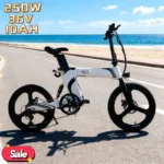36V 10AH E-bike, 250W motor, labor-saving and efficient electric bicycle, a must-have for adults commuting to work